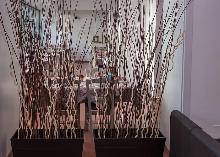 Sayonara Hotell Cattolica